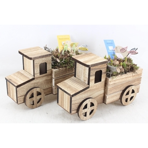 arr4 Bollenmix MB - Hout vrachtwagen 401/4