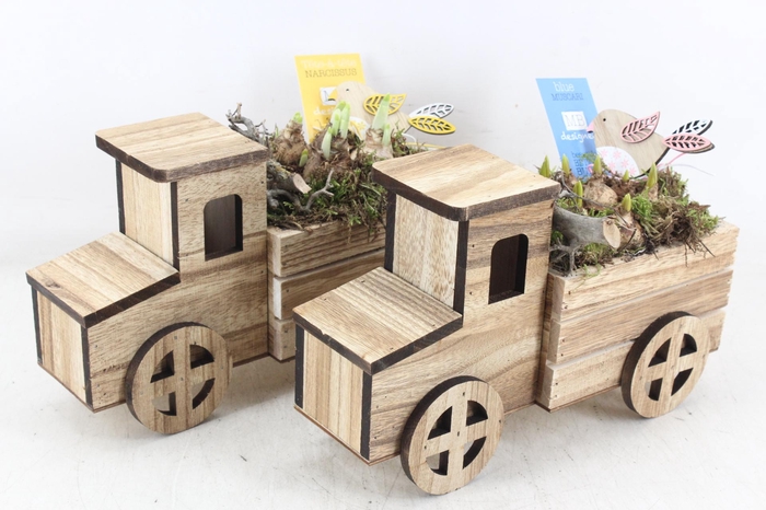 <h4>arr4 Bollenmix MB - Hout vrachtwagen 401/4</h4>