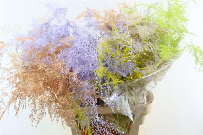 <h4>Asp Kbh Lang Easter Mix</h4>