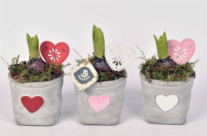 <h4>Cement potje met hart 11cm</h4>