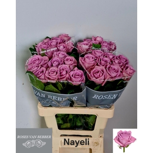 R GR NAYELI!