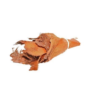 Bundle Palm Bakla 10pcs