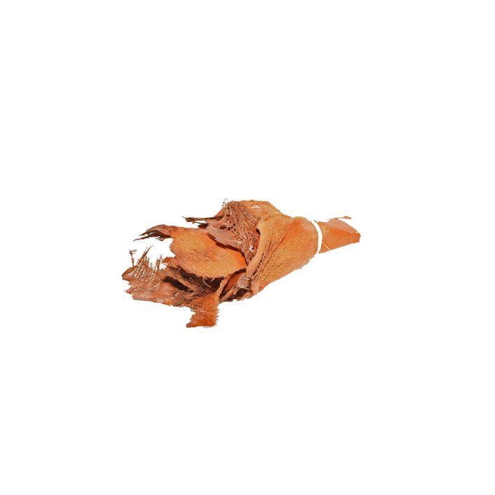 <h4>Bundle Palm Bakla 10pcs</h4>
