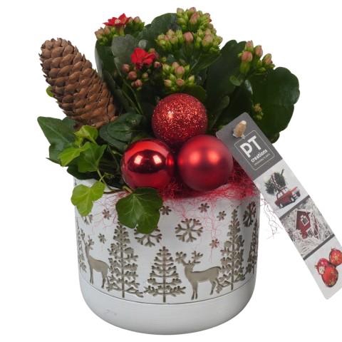 <h4>PTCHR7303 Arrangementen Kerst</h4>