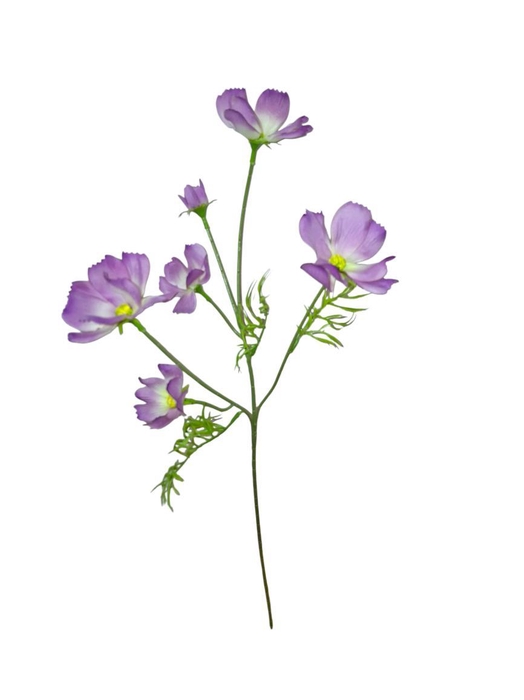 <h4>AF Cosmos spray L60cm lilac</h4>