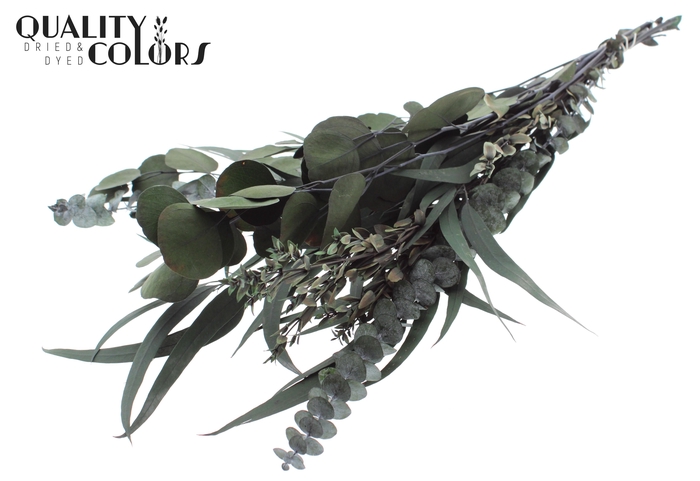 Eucalyptus Mix per bunch Preserved Green