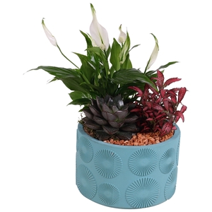 Year-Round Indoor Ceramic Exotic Vibes 464 ø17cm 3PP