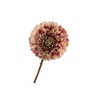 Dahlia Mauve Cream FL440196MAU