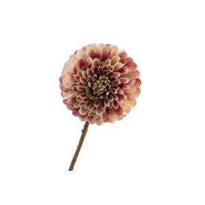 Dahlia Mauve Cream FL440196MAU