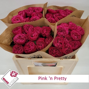 R GR PINK N PRETTY