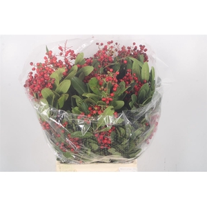 Photinia Berrry Red Per Bunch