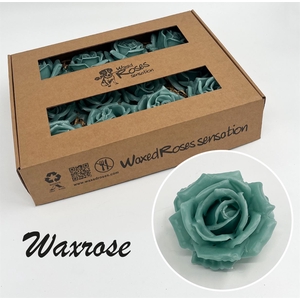 Zijde R Wx Licht Groen (mint)