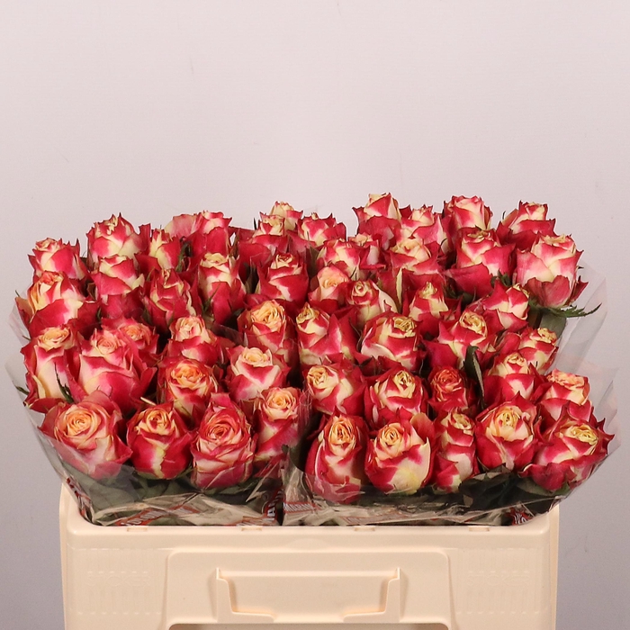 <h4>R GR CHAPEAU</h4>