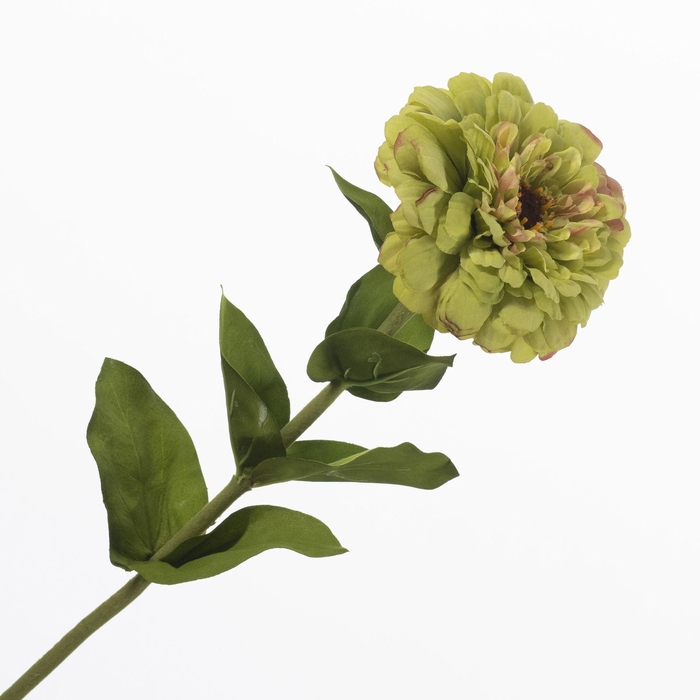 <h4>Zinnia Green FL440374GRN</h4>