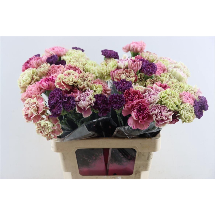 <h4>Di St Mix Vintage</h4>