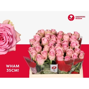 R GR WHAM