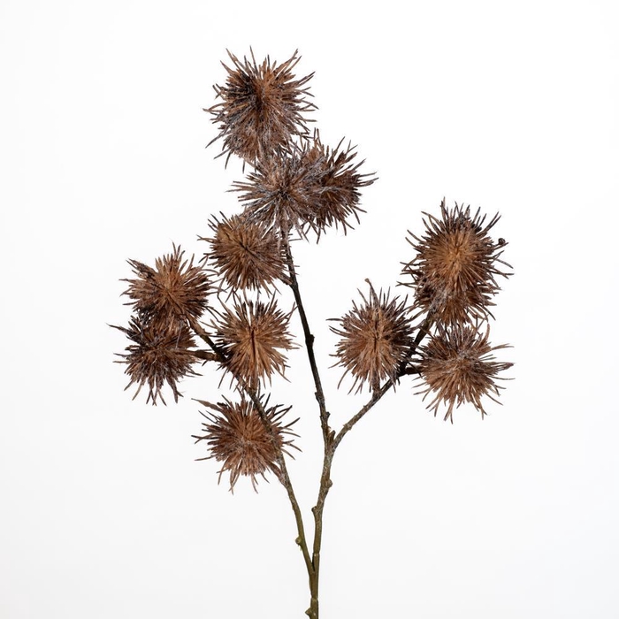 <h4>AF Spiky balls spr x3 L68cm br</h4>