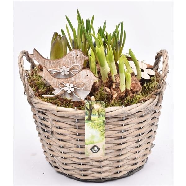 <h4>Wilg mand grijs met oor 23cm</h4>