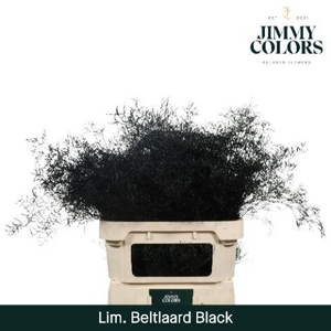 Lim Bel L90 Black