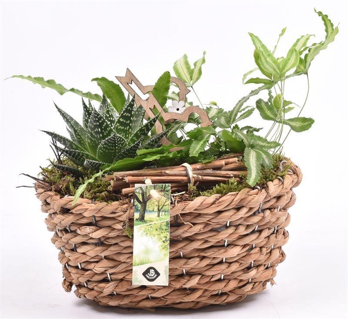 <h4>Maisblad gevl. ovaal 24x15cm</h4>