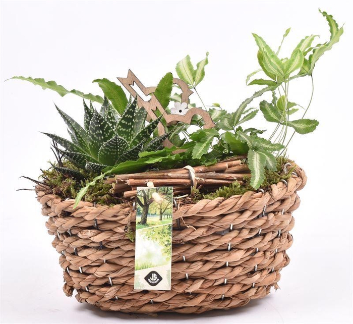 <h4>Maisblad gevl. ovaal 24x15cm</h4>