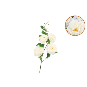 Silk Wild Rose White 5 Single Stem 116cm