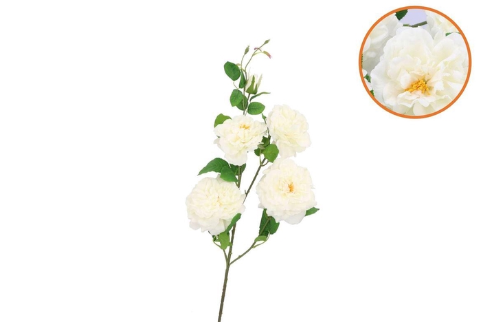 <h4>Silk Wild Rose White Single Stem 116cm</h4>