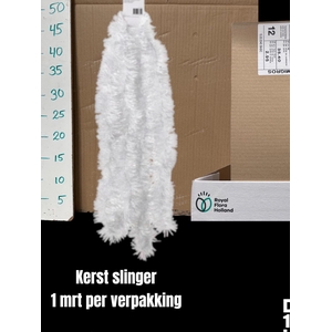 HUIS EN TUINDECO H%