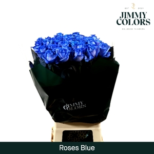 Rozen kleurbehandeld L70 Klbh. Blue