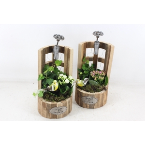 arr2 TD - Hout waterput - roze/wit