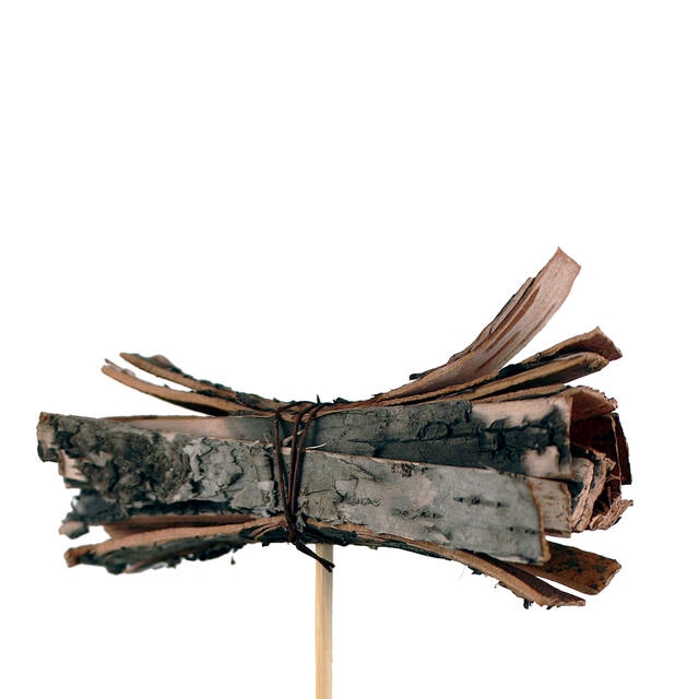 <h4>Bijsteker Berk bundel 8x3cm+50cm stok naturel</h4>