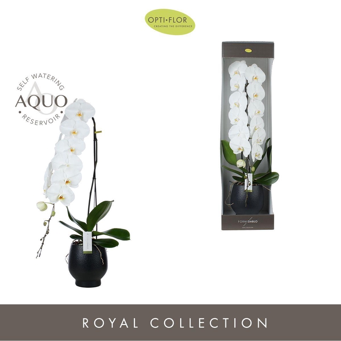 <h4>Phal Formidablo Yosemite Falls 1 Tak Keramiek Abru</h4>