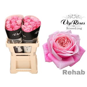 R GR REHAB
