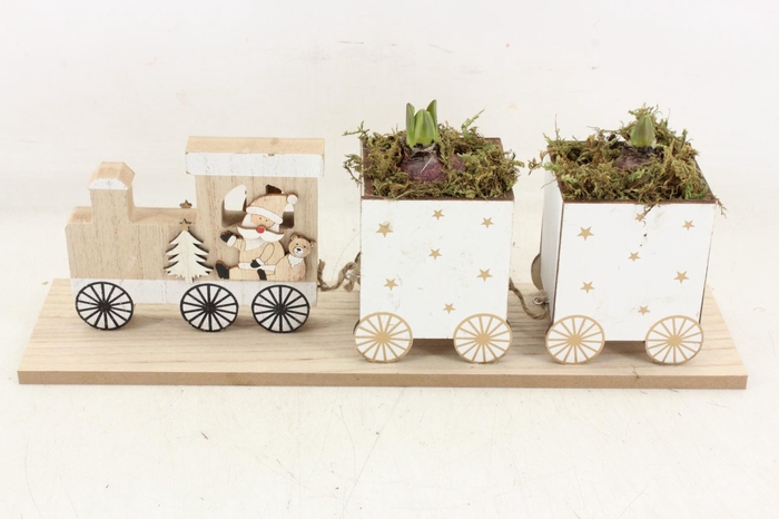 <h4>arr4 Hyacint FL - Santa's train</h4>