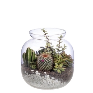 GLASS TERRARIUM Ø 24 H 25 - IN CARDBOARD BOX 24X24 CM