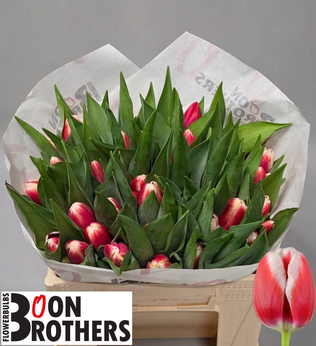 <h4>TU EN OUTFIT</h4>