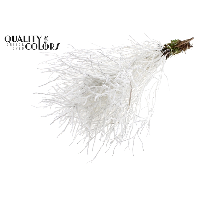 <h4>Huckelberry per bunch White With Flock</h4>