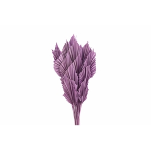 Dried Palm Spear 10pc Milka Bunch