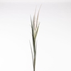 AF Pennisetum x2 L122cm Cream