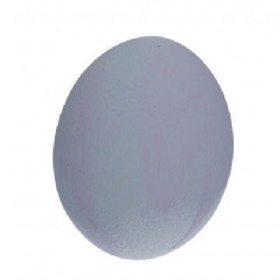 <h4>Opruiming Pasen Ei Struisvogel d11*16cm plastic</h4>