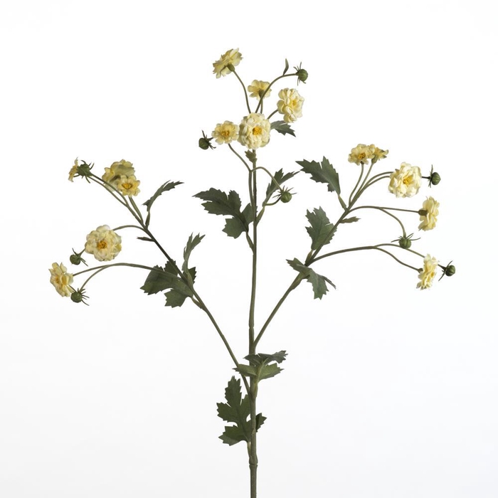 <h4>AF Tanacetum spray L65cm l.ye</h4>