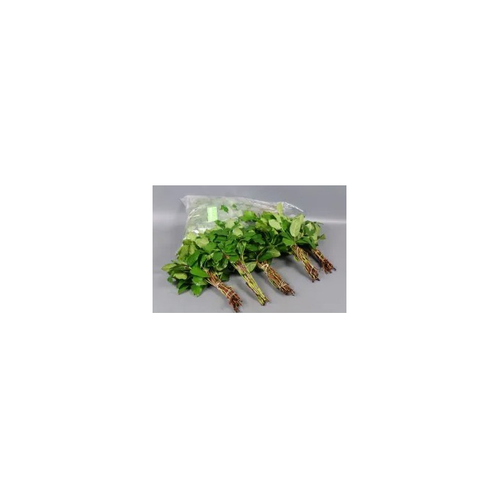 <h4>SALAL TIPS (5 bos per zak) PROMO</h4>
