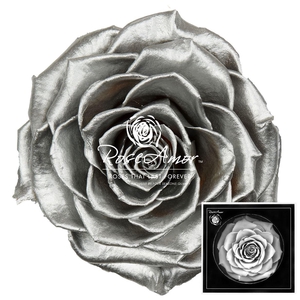 Bonita Metallic Silver Whi04