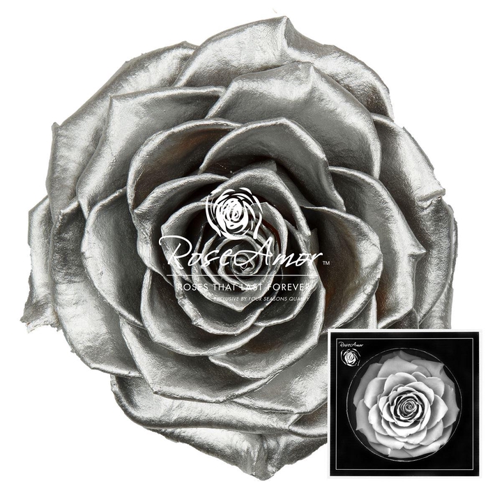 <h4>Bonita Metallic Silver Whi04</h4>