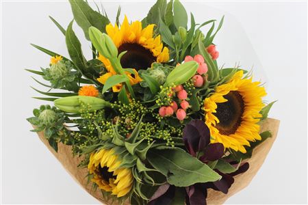<h4>Boeket Zonnebloem Promo</h4>