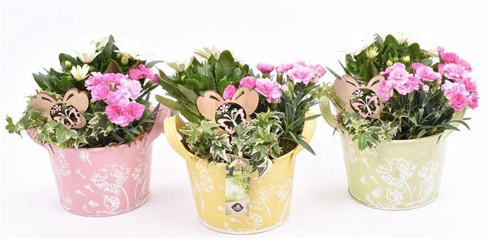 <h4>Zink teil bloemdecor kl.mix 18cm</h4>