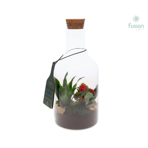 Green Bottle Fles Small met Arrangement