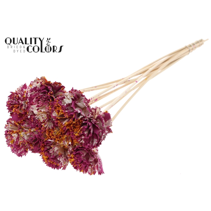 <h4>Shola Karnish Flower 6cm on stem Multicolour Cerise/Yellow</h4>