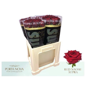 R Gr Red Naomi! Supra 60 577 #50