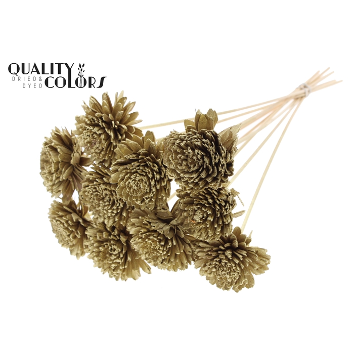 <h4>Shola Zinia Ø8cm on stem Gold</h4>
